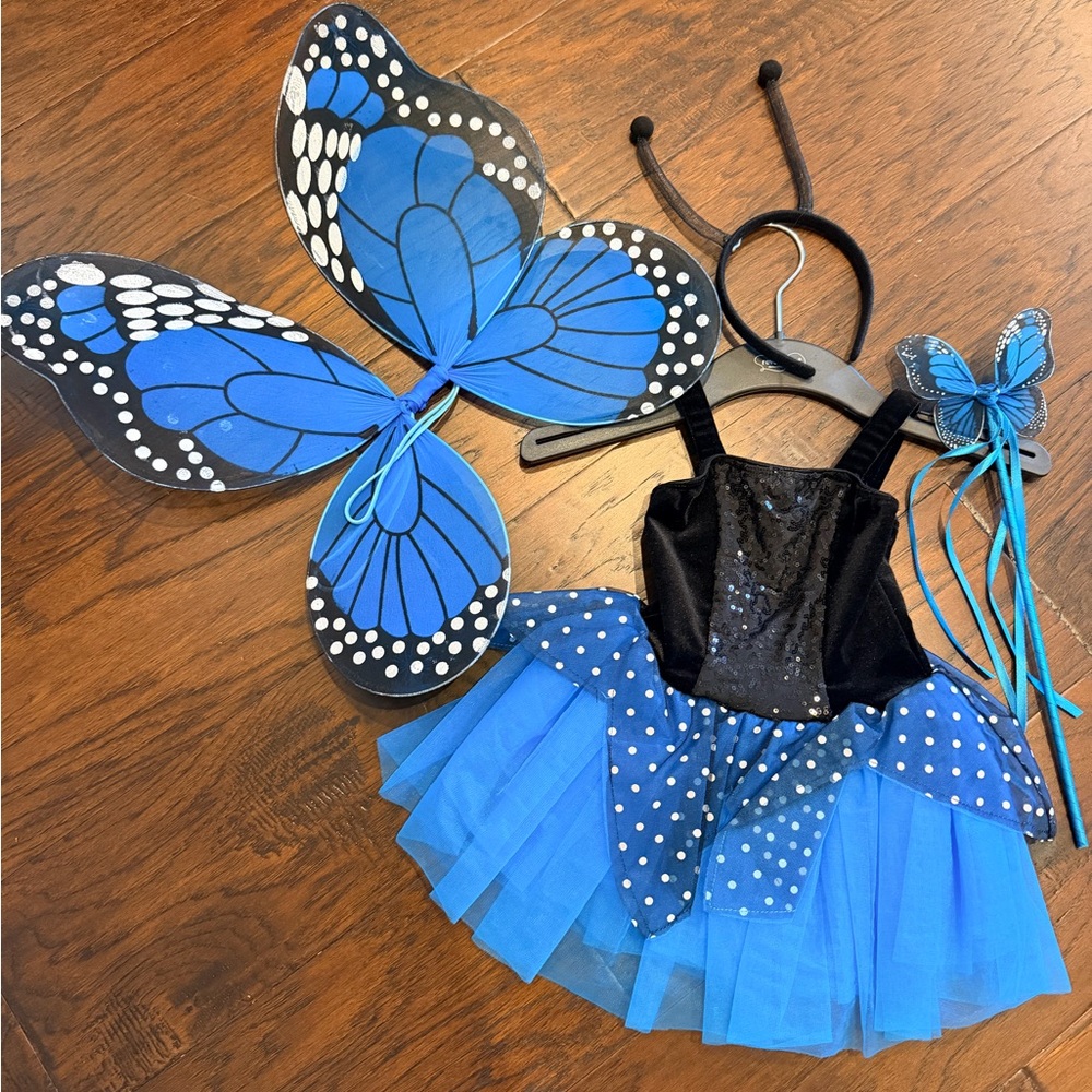 Blue Butterfly Kids Costume